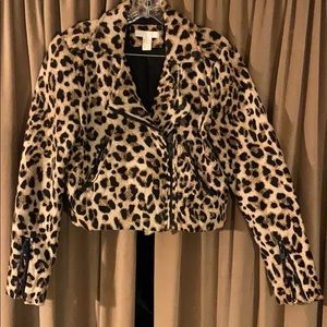 Cheetah biker jacket